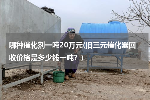 哪种催化剂一吨20万元(旧三元催化器回收价格是多少钱一吨？)