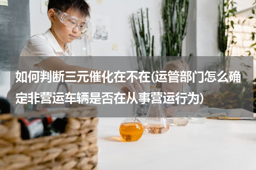 如何判断三元催化在不在(运管部门怎么确定非营运车辆是否在从事营运行为)