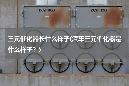 三元催化器长什么样子(汽车三元催化器是什么样子？)