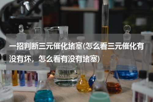 一招判断三元催化堵塞(怎么看三元催化有没有坏，怎么看有没有堵塞)