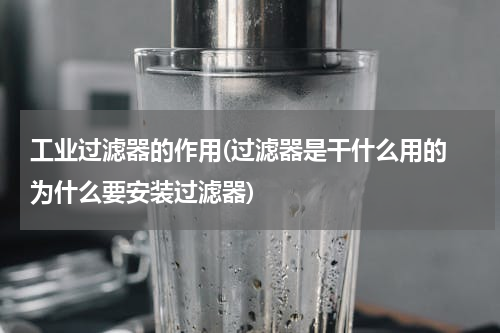 工业过滤器的作用(过滤器是干什么用的 为什么要安装过滤器)