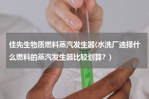 佳先生物质燃料蒸汽发生器(水洗厂选择什么燃料的蒸汽发生器比较划算？)