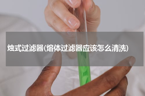 烛式过滤器(熔体过滤器应该怎么清洗)