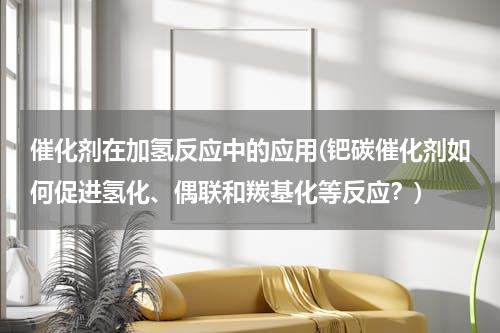 催化剂在加氢反应中的应用(钯碳催化剂如何促进氢化、偶联和羰基化等反应？)