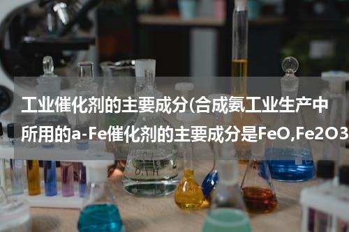 工业催化剂的主要成分(合成氨工业生产中所用的a-Fe催化剂的主要成分是FeO,Fe2O3)