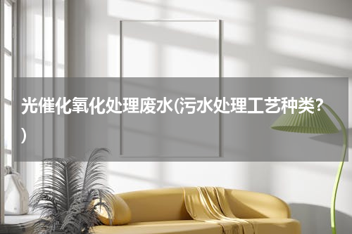 光催化氧化处理废水(污水处理工艺种类？)