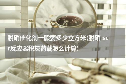 脱硝催化剂一般要多少立方米(脱硝 scr反应器积灰荷载怎么计算)