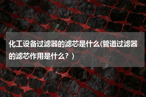 化工设备过滤器的滤芯是什么(管道过滤器的滤芯作用是什么？)