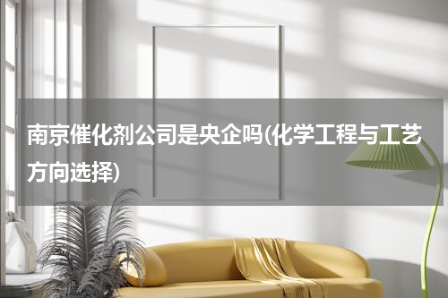 南京催化剂公司是央企吗(化学工程与工艺方向选择)