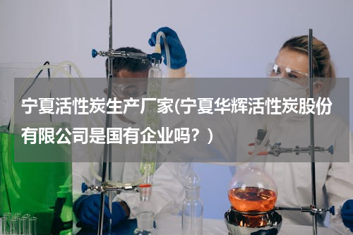 宁夏活性炭生产厂家(宁夏华辉活性炭股份有限公司是国有企业吗？)