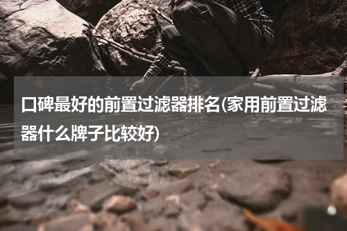 口碑最好的前置过滤器排名(家用前置过滤器什么牌子比较好)