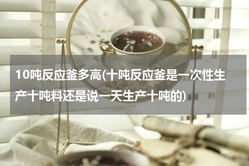 10吨反应釜多高(十吨反应釜是一次性生产十吨料还是说一天生产十吨的)