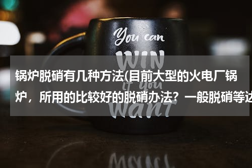 锅炉脱硝有几种方法(目前大型的火电厂锅炉，所用的比较好的脱硝办法？一般脱硝等达到多少效率？)