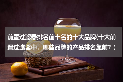 前置过滤器排名前十名的十大品牌(十大前置过滤器中，哪些品牌的产品排名靠前？)