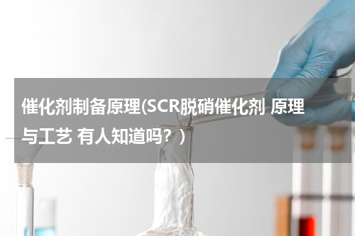 催化剂制备原理(SCR脱硝催化剂 原理与工艺 有人知道吗？)