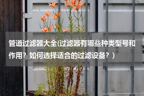 管道过滤器大全(过滤器有哪些种类型号和作用？如何选择适合的过滤设备？)