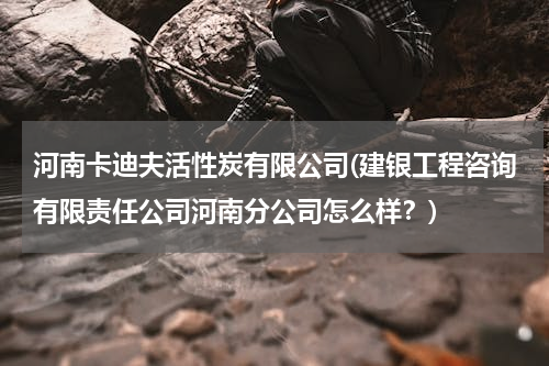 河南卡迪夫活性炭有限公司(建银工程咨询有限责任公司河南分公司怎么样？)