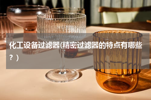 化工设备过滤器(精密过滤器的特点有哪些？)