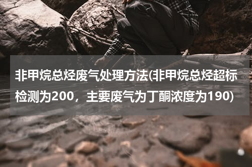 非甲烷总烃废气处理方法(非甲烷总烃超标检测为200，主要废气为丁酮浓度为190)