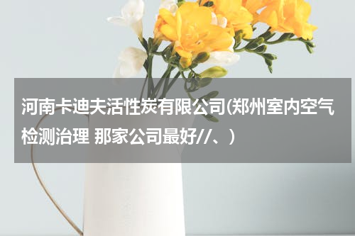 河南卡迪夫活性炭有限公司(郑州室内空气检测治理 那家公司最好//、)