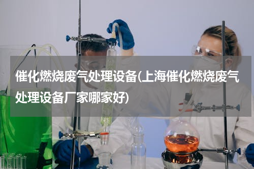 催化燃烧废气处理设备(上海催化燃烧废气处理设备厂家哪家好)