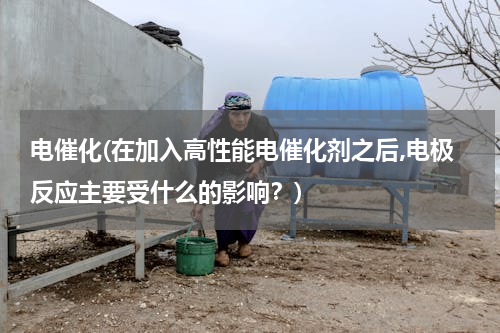电催化(在加入高性能电催化剂之后,电极反应主要受什么的影响？)