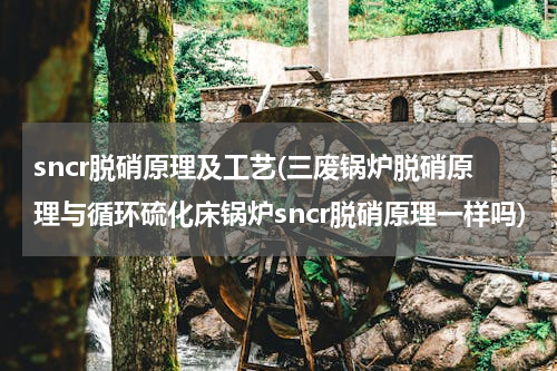 sncr脱硝原理及工艺(三废锅炉脱硝原理与循环硫化床锅炉sncr脱硝原理一样吗)