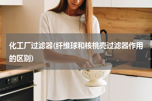 化工厂过滤器(纤维球和核桃壳过滤器作用的区别)