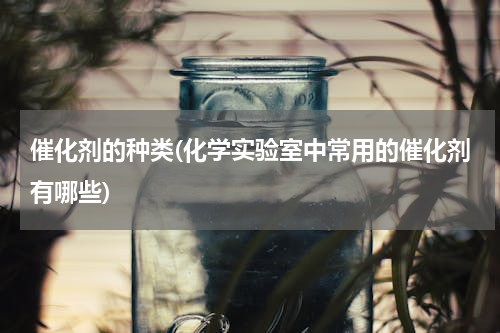 催化剂的种类(化学实验室中常用的催化剂有哪些)