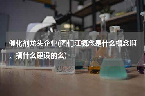催化剂龙头企业(图们江概念是什么概念啊，搞什么建设的么)