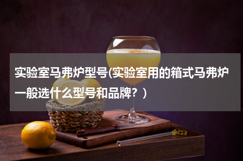 实验室马弗炉型号(实验室用的箱式马弗炉一般选什么型号和品牌？)