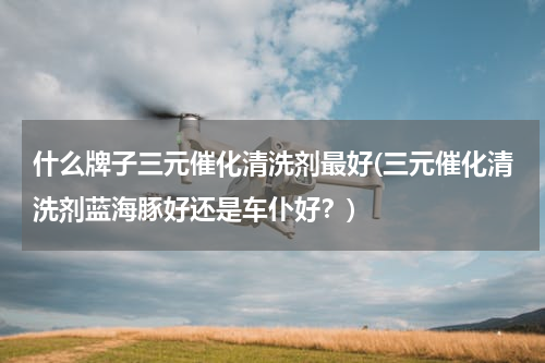 什么牌子三元催化清洗剂最好(三元催化清洗剂蓝海豚好还是车仆好？)