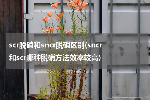 scr脱硝和sncr脱硝区别(sncr和scr哪种脱硝方法效率较高)
