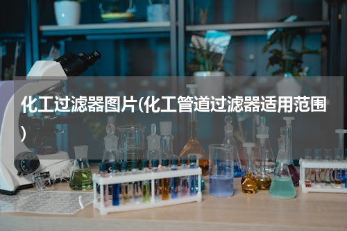 化工过滤器图片(化工管道过滤器适用范围)