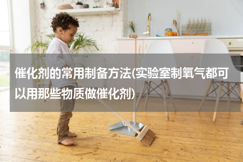 催化剂的常用制备方法(实验室制氧气都可以用那些物质做催化剂)