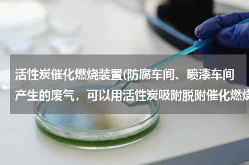 活性炭催化燃烧装置(防腐车间、喷漆车间产生的废气，可以用活性炭吸附脱附催化燃烧设备吗？)