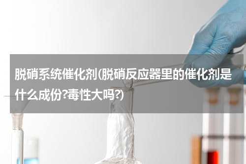 脱硝系统催化剂(脱硝反应器里的催化剂是什么成份?毒性大吗?)