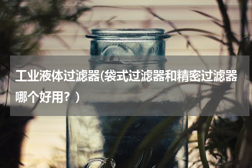 工业液体过滤器(袋式过滤器和精密过滤器哪个好用？)