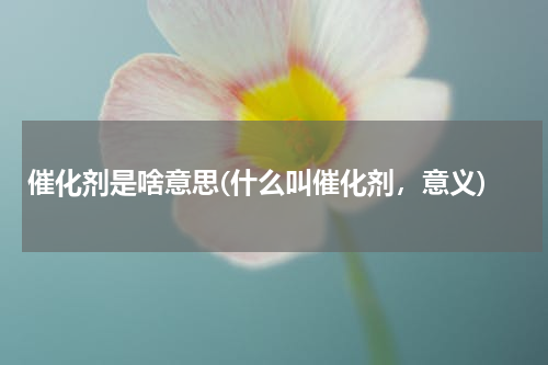 催化剂是啥意思(什么叫催化剂，意义)
