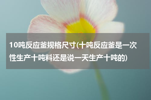 10吨反应釜规格尺寸(十吨反应釜是一次性生产十吨料还是说一天生产十吨的)