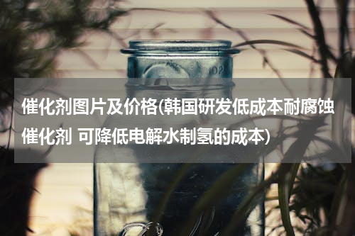 催化剂图片及价格(韩国研发低成本耐腐蚀催化剂 可降低电解水制氢的成本)