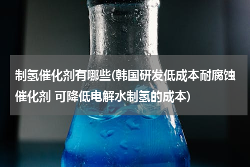 制氢催化剂有哪些(韩国研发低成本耐腐蚀催化剂 可降低电解水制氢的成本)