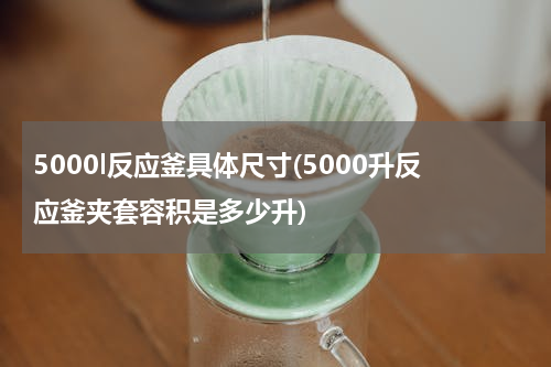 5000l反应釜具体尺寸(5000升反应釜夹套容积是多少升)