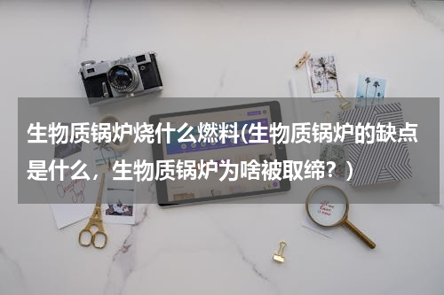 生物质锅炉烧什么燃料(生物质锅炉的缺点是什么，生物质锅炉为啥被取缔？)