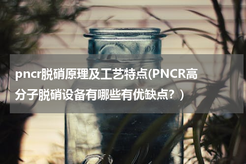 pncr脱硝原理及工艺特点(PNCR高分子脱硝设备有哪些有优缺点？)