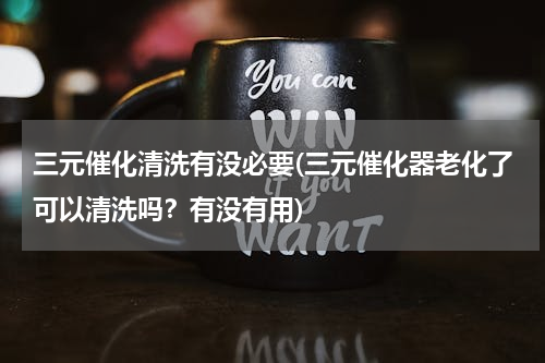三元催化清洗有没必要(三元催化器老化了可以清洗吗？有没有用)