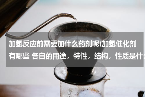 加氢反应前需要加什么药剂呢(加氢催化剂有哪些 各自的用途，特性，结构，性质是什么)