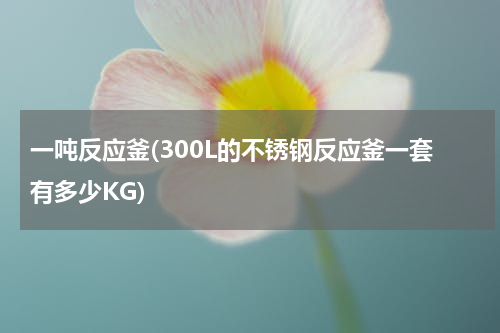 一吨反应釜(300L的不锈钢反应釜一套有多少KG)