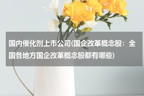 国内催化剂上市公司(国企改革概念股：全国各地方国企改革概念股都有哪些)