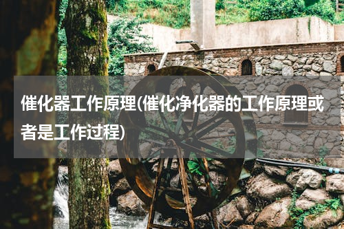 催化器工作原理(催化净化器的工作原理或者是工作过程)